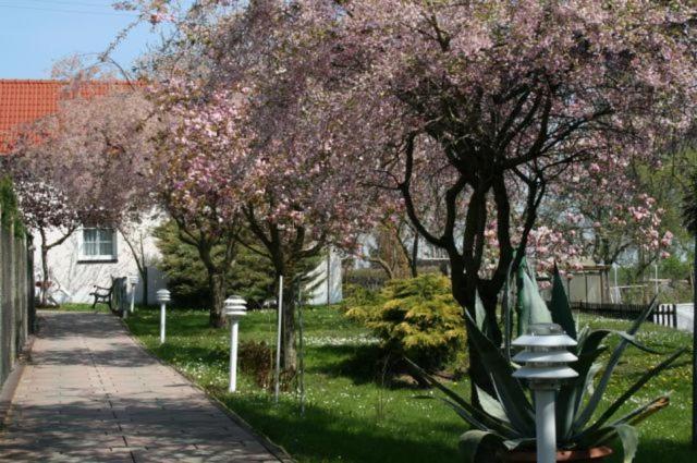 Familienhotel Zur Linde Panschwitz-Kuckau 외부 사진